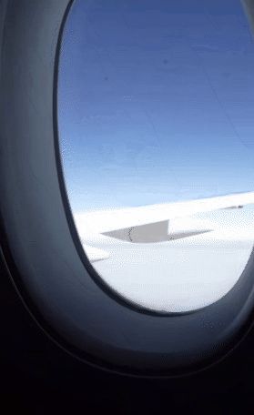 Creator content · airplane window