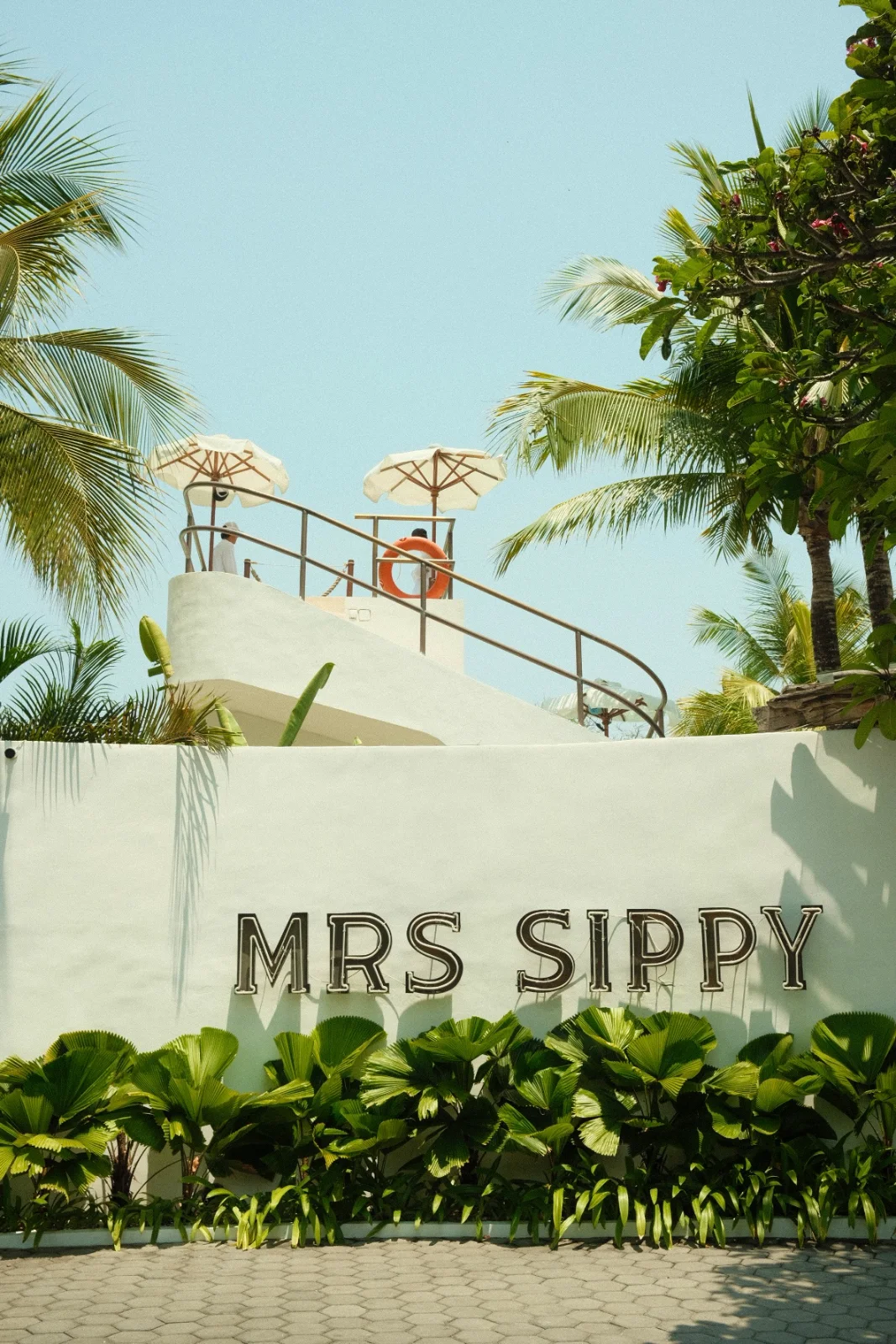 Photograph by Vina
