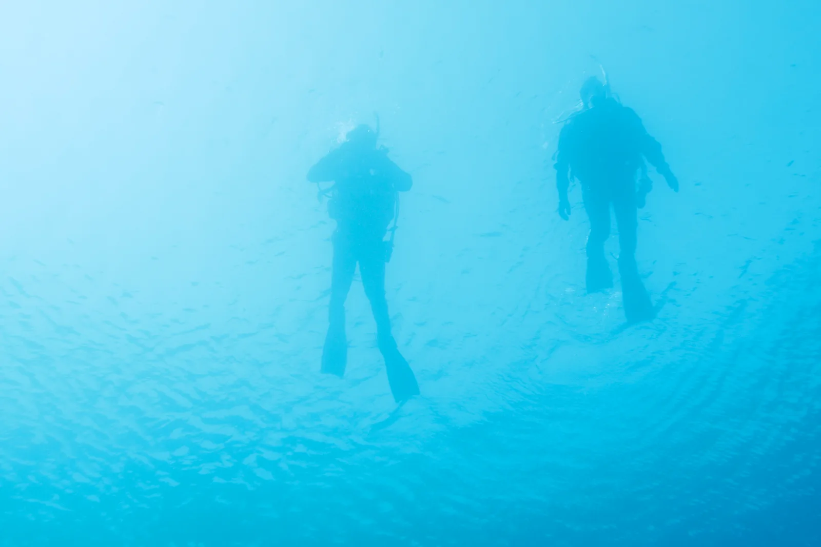 Two divers underwater